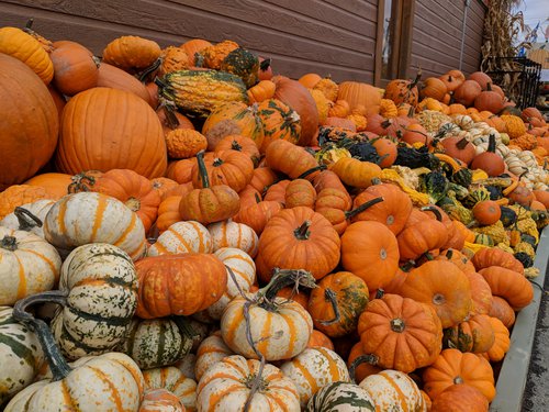 MVIMG_20181006_091113.jpg